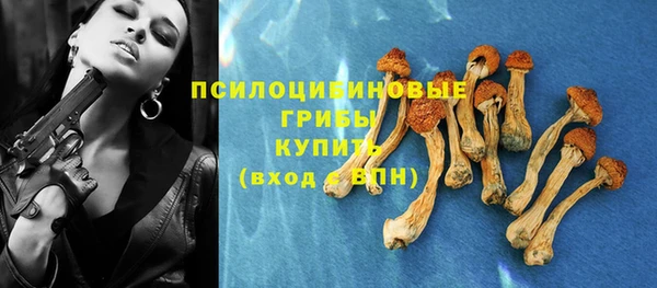 прущие крисы Аркадак